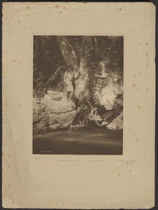 Apache-Río Negro (Junto al Sicomoro) de Edward S. Curtis