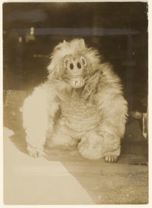 En la máscara del lobo de Edward S. Curtis