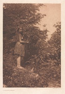 Portfolio IX, Plates 293- 328 de Edward S. Curtis