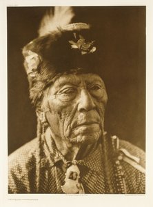 Comanche zurdo