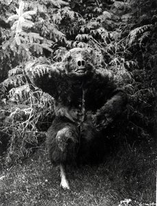 Nane-Qagyuhl, traje de indio americano de Edward Sheriff Curtis