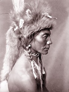Riñón amarillo, Piegan de Edward Sheriff Curtis