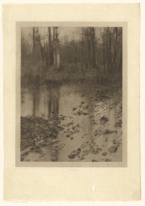 La piscina