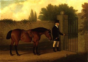 Un caballero guiando un Cob galés junto a una puerta de jardín de Edward Tolley