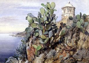 Cactus Opuntia, Mónaco