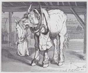 Un Caballo de Tiro de Edwin (after) Landseer