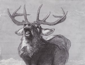 Un Desafío de Edwin (after) Landseer