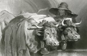 Bueyes en el tanque, Ginebra de Edwin (after) Landseer