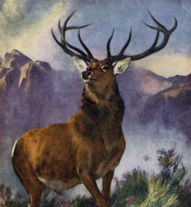 El monarca del valle