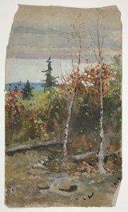 paisaje de otoño