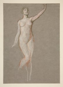 Estudio de figuras para