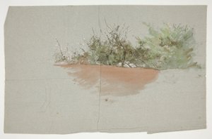 paisaje con arboles