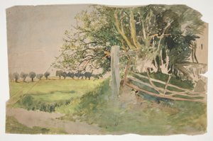 Paisaje con árboles y valla rota.