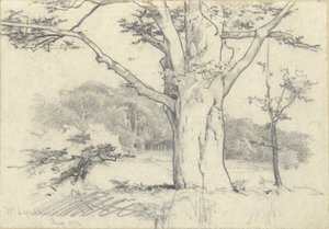No. Lyndhurst, agosto de 1871