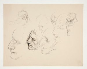 Ficha de estudios de un solo rostro