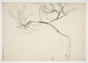 Bosquejo de un árbol en flor de Edwin Austin Abbey
