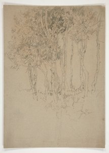 Bosquejo de una arboleda de Edwin Austin Abbey