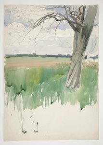 Estudio de un campo y un árbol. de Edwin Austin Abbey