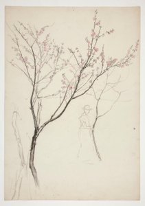 Estudio de una figura debajo de un árbol en flor