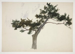 estudio de un arbol de Edwin Austin Abbey
