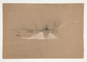 Árboles en la orilla del río (?) de Edwin Austin Abbey