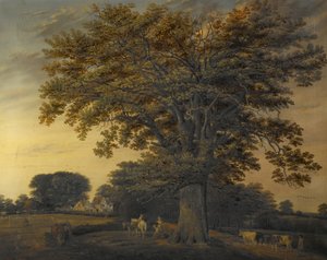 El roble de Binley, 1848