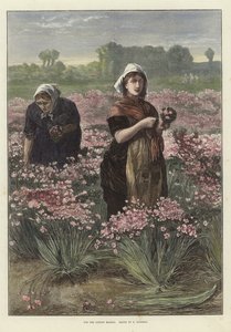 Para el mercado de Londres