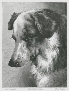 El perro fiel (grabado) de Edwin Douglas