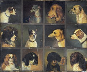 Doce Perros Favoritos, 1883
