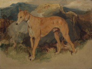 Un galgo, 1826 de Edwin Landseer