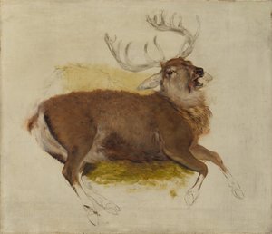 Ciervo moribundo de Edwin Landseer