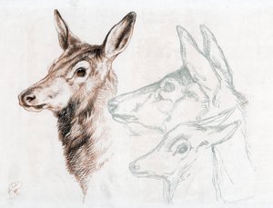 Facsímil de un dibujo de Sir E Landseer, 1874 de Edwin Landseer
