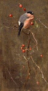 El Camachuelo de Edwin John Alexander