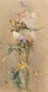 Cardos y mariposa de Edwin John Alexander