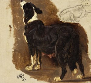 Perra Collie de Edwin Landseer