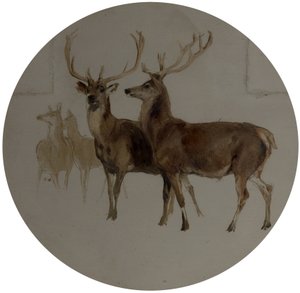 Ciervos en un paisaje (Estudios de ciervos) de Edwin Landseer