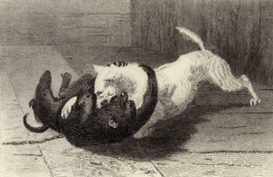 Ejemplo X, perro peleando con mono de Edwin Landseer