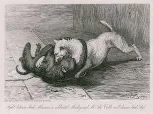 Pelea entre Jacco Macacco, un mono célebre, y la conocida perra de Mr. Thomas Cubb, Puss de Edwin Landseer