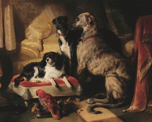Hector, Nero y Dash con el loro Lory de Edwin Landseer