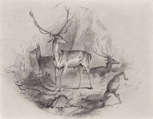 En el valle de Edwin Landseer