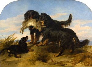 Perros cobradores con una liebre de Edwin Landseer