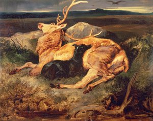 Ciervo de Edwin Landseer