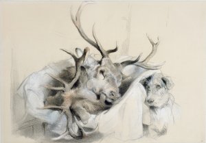 Cabezas de ciervos y perro, 1857 de Edwin Landseer