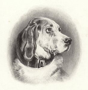 El sabueso de Edwin Landseer