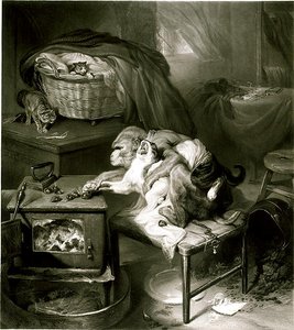 La pata del gato de Edwin Landseer