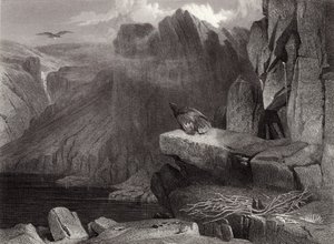 El nido del águila de Edwin Landseer