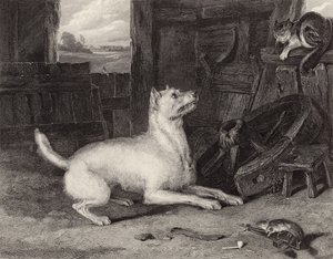 El intruso de Edwin Landseer
