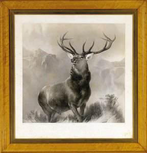 El monarca del valle, 1852 de Edwin Landseer