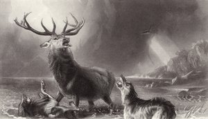 El ciervo acorralado de Edwin Landseer