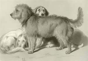 Los tres perros